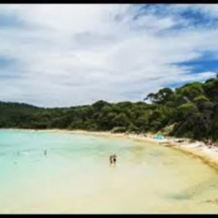 Haut De Equipe Bebe Ideal Famille + Babysitter! * La Seyne-sur-Mer